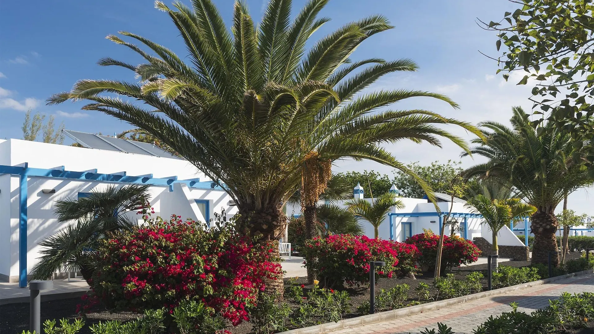 Hotel Elba Premium Suites - Adults Only Playa Blanca